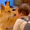 お父さんが帰宅した…