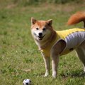 【2018年版】3月にあ…