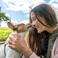 犬好きな人の性格と…