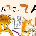 てんてこ、てん。【…