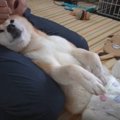 マッサージと耳掃除…