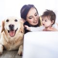 「犬と飼い主」と「…