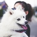 愛犬を抱っこしすぎ…