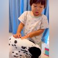犬と仲良しな３歳の…