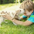 思春期の子供が犬を…