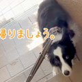 『無理です。帰りま…