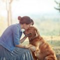 犬を飼うと得られる…