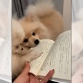 おやすみ前のまった…