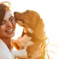犬は人間をどんな存…