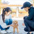 他人の犬にしてはい…