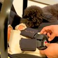 生まれたばかりの赤…