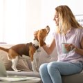 犬にNGな『愛情表現…