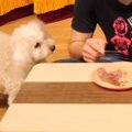 そんなバカな！？目…