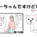 ちーちゃんですけど…