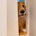 洗面所で準備をして…