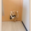 それは無理があるで…