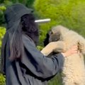 大型犬の赤ちゃんを…