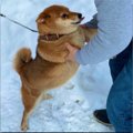 愛さずにはいられな…