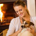 犬にも「冷え症」が…