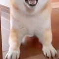 具合が悪く横になっ…