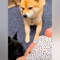 寝ている赤ちゃんを…
