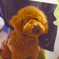 愛想がなく８ヶ月売…