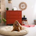 犬にとって『NGな部…