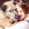 犬にとっては辛い『…