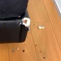 ベッドが破壊されて…
