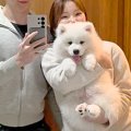 軽々と抱っこできて…