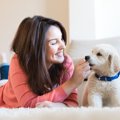 犬を飼わなかったら…