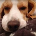 某アイテムに完全に…