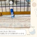 母に『実家で使って…