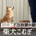 被害者もニッコリ…柴…