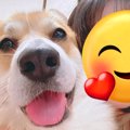 犬と撮影した『盛れ…