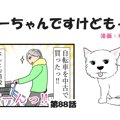 ちーちゃんですけど…