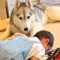 『赤ちゃんの子守り…