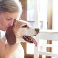 飼い主に悔いなく選…