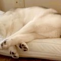 『今日は病院の日』…