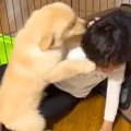 小さな男の子と初め…