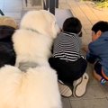アウトレットへ超大…