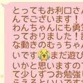 保育園に初登園した…