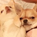 一緒に寝られて嬉し…