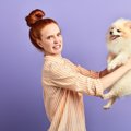 愛犬の体臭が気にな…