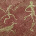 古代の犬の背骨が示…