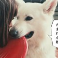 温厚な大型犬が怒っ…