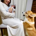 赤ちゃんと犬を『初…