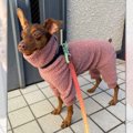 「おべべかわいいね…