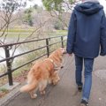 ゴルさんのお散歩中…