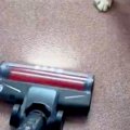 犬の抜け毛を取るた…